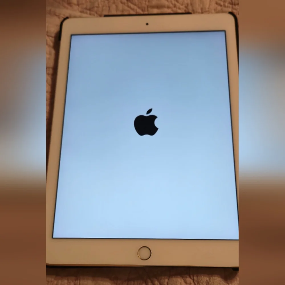 Apple Ipad Pro 1st. Gen - 9.7